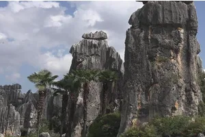 Kunming Stone Forest Scenic Area